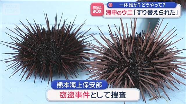 海中のウニ「すり替えられた」 一体誰が?どうやって? 窃盗事件で捜査