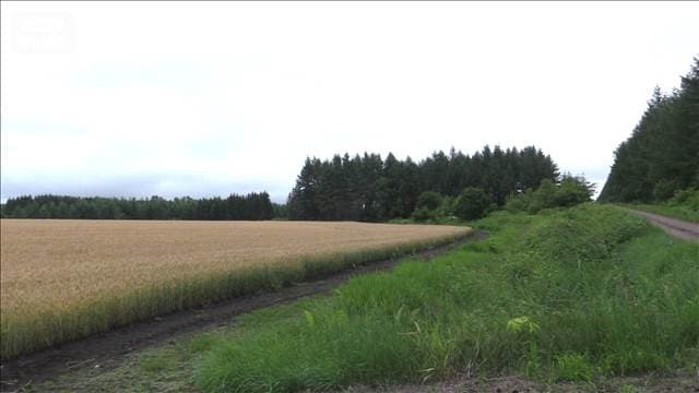 ハンターが襲われ重傷 クマは死骸で発見 北海道