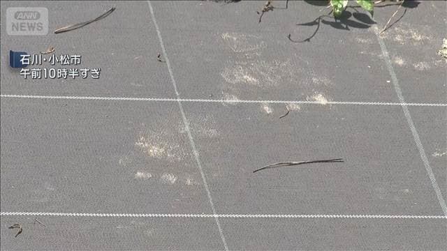 各地で相次ぐクマ被害 　石川と奈良で男性けが