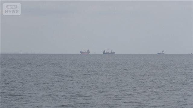 黒海でイルカが大量死　ロシア侵攻以降10万頭　機雷や軍艦からの低周波音が影響か