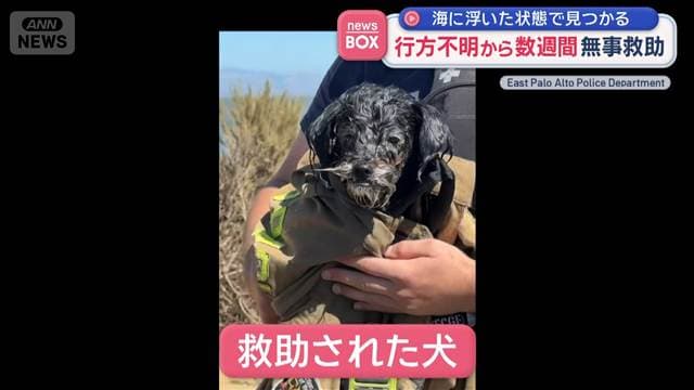 行方不明から“数週間”無事救助　海に浮いた状態で見つかる　アメリカ