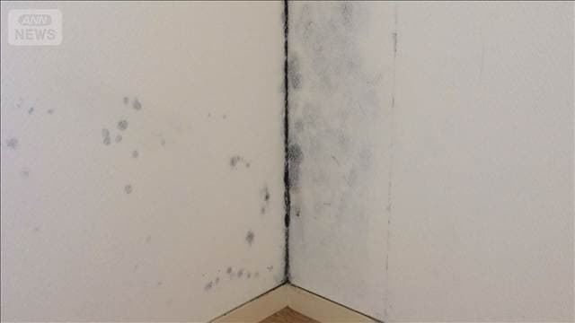 夏の結露にご用心　気温差でカビ繁殖の可能性　壁の中、床下で発生しやすく