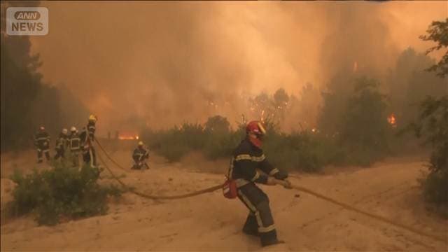フランス山火事「前例のない規模」 14万人避難　都市圏に迫る　ブドウ生産にも懸念