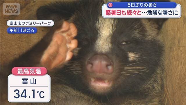 酷暑日も続々と… 危険な暑さに　5日ぶりの暑さ
