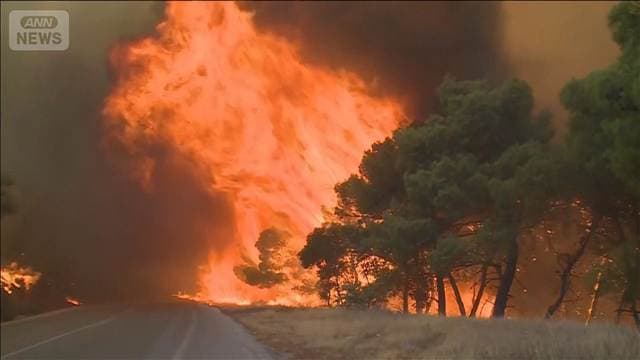 ギリシャで山火事消火中のヘリ衝突　乗組員1人が負傷…強風で被害拡大し住民ら避難も