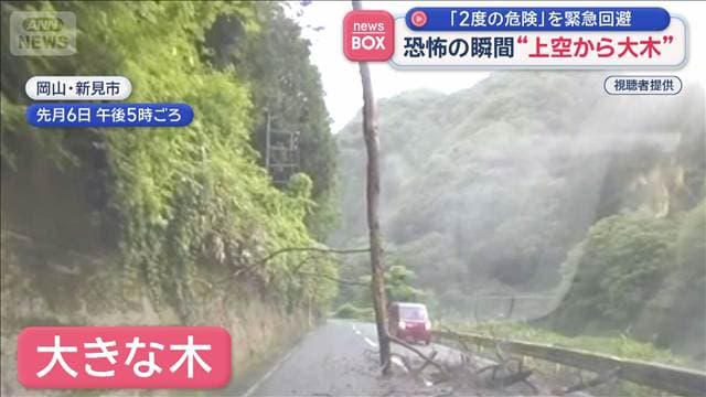 “上空から大木”恐怖の瞬間　「2度の危険」を緊急回避　岡山・新見市