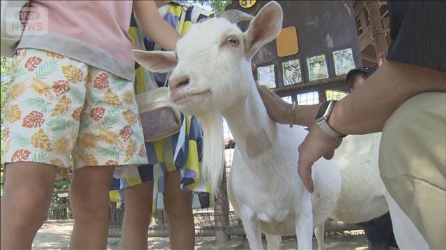 熊本市動植物園が3日間無料　「被災の子どもたちに居場所を」　子どもに笑顔