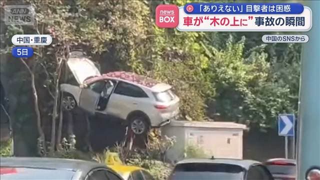 車が“木の上に”事故の瞬間　「ありえない」目撃者は困惑　中国・重慶市