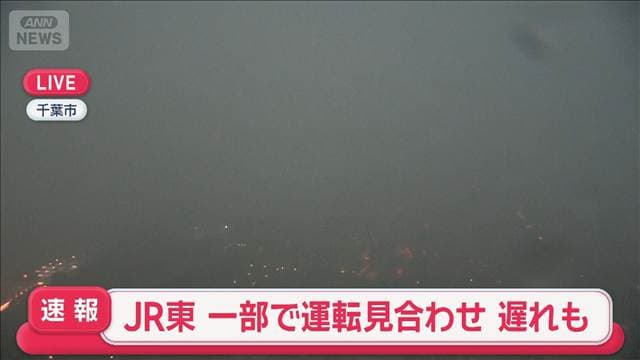 【速報】関東の路線で一部運転見合わせや遅れ　大雨の影響