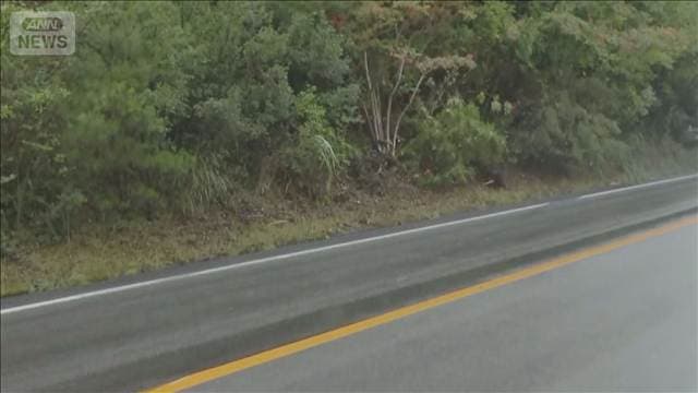 のり面に衝突 後部座席の女性死亡