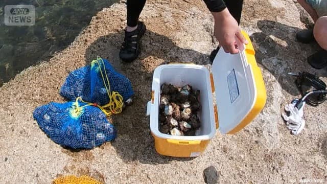 “摘発瞬間”サザエ200個密漁か　海上保安庁が一部始終を撮影