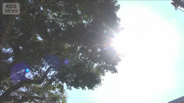 西日本から関東で猛暑日　熊本で体温超えの暑さも