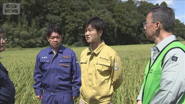 千葉豪雨　農水大臣　被災水田など視察　農作物に被害「心折れそう」