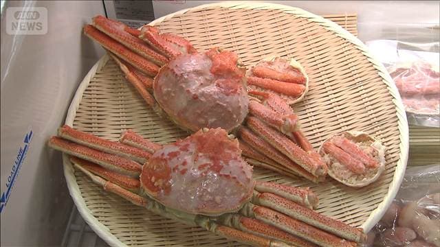 国内最大級の水産物見本市が開幕　ロシアも初出展