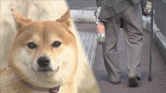 犬の飼育で認知症リスク48％低下　7年半に及ぶ調査で判明　医療費削減効果も