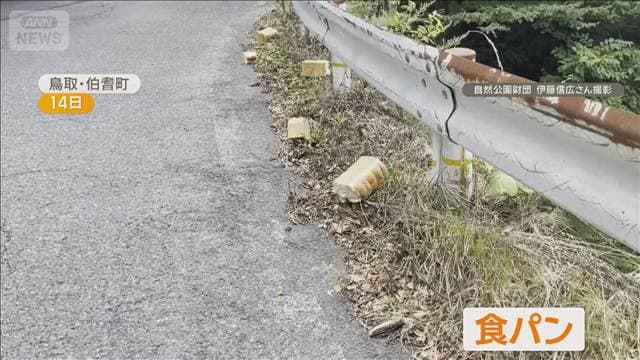 白兎海岸でも食パン投棄　国道近く　目撃者「ちぎって捨てられた感じ」　鳥取市　