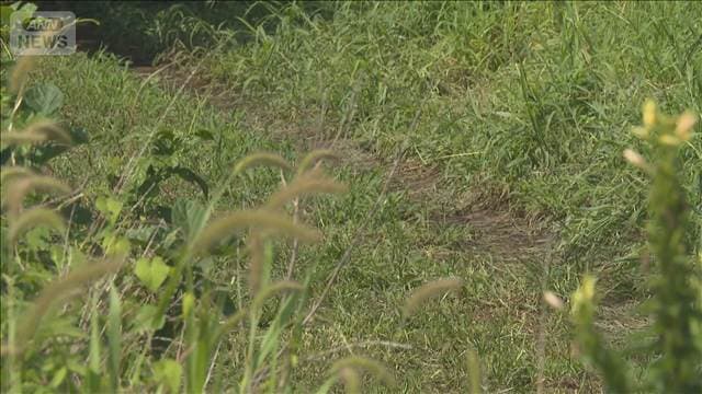 「殴られたようだ」と通報も 男子高校生が路上に倒れ死亡　神奈川・相模原市