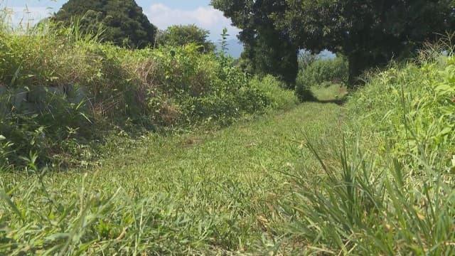農道で高校生倒れ死亡　“殴られた”痕　付近にバイクも