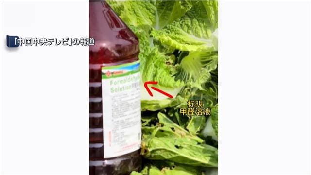 白菜にホルムアルデヒド浸して出荷か　中国河北省　一部の業者について問題指摘