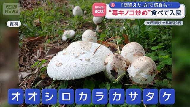 「間違えた」毒キノコ炒め食べて救急搬送　AI診断で誤食するケースも