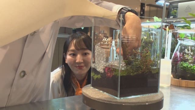 水草が主役？生態系を再現したネイチャーアクアリウム　コツは…【グッド！いちおし】