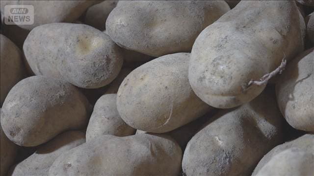 米国産ジャガイモ輸入めぐり　懸念相次ぐ