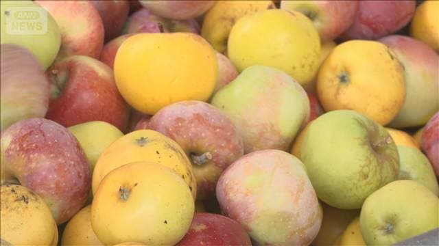 フランス 庭先のリンゴをジュースに 食品ロス対策