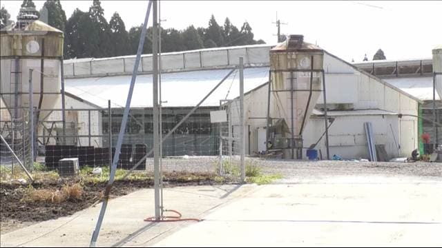 豚舎で豚の下敷きに　従業員が死亡　鹿児島・曽於市