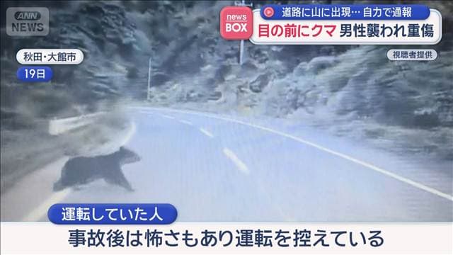 目の前にクマ 男性襲われ重傷 道路に山に出現…自力で通報 秋田