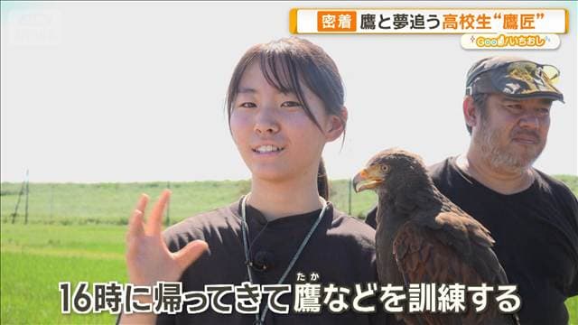 鷹と夢追う18歳の女子高校生「鷹匠」　魅力を伝えるために奮闘【グッド！いちおし】