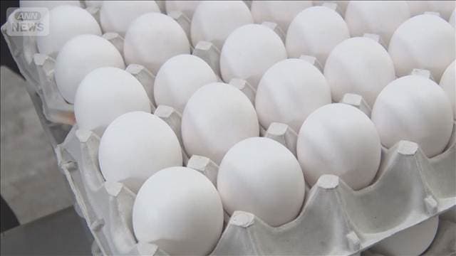 年末の卵価格　去年より低い水準で推移する見通し
