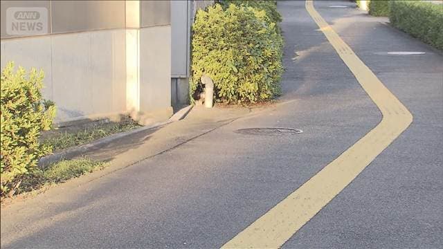 スプレー噴射の強盗や未遂が相次ぐ　男2人逃走中