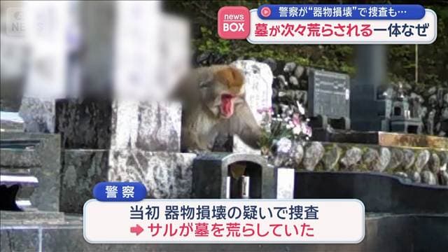 “器物損壊”か　警察が捜査　墓が次々荒らされる一体なぜ