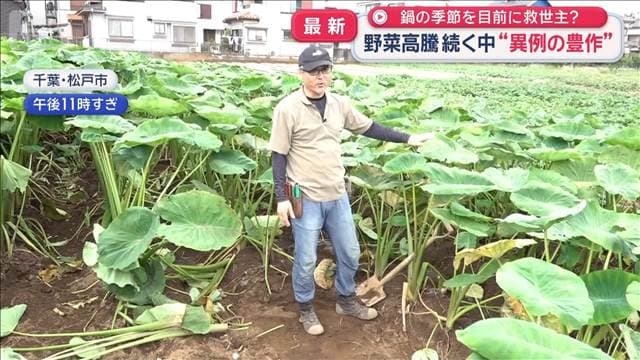 台風遠いのに“神奈川で冠水”　野菜高騰続く中“異例の豊作”も