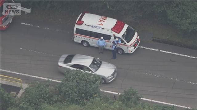 「作業中に同僚が滑落した」70代男性　林道から70m落下で心肺停止　仙台市