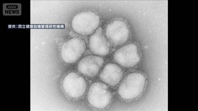 インフルエンザ患者数1医療機関あたり「11.35人」　前週から1.6倍、44都道府県で増加
