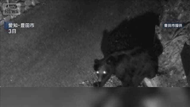 男性がクマに襲われ大けが 玄関前で…　愛知・豊田市