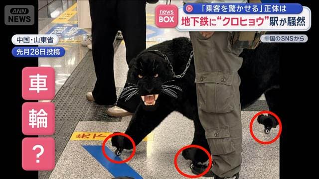地下鉄に“クロヒョウ”駅が騒然　「乗客を驚かせる」正体は