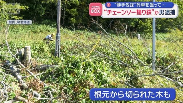 “チェーンソー撮り鉄”か　男逮捕　ノロッコ号狙い「良い写真を撮るため木を切った」