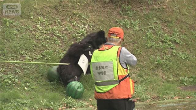 都内初　クマの「緊急銃猟」訓練　都や警視庁、地元猟友会が参加