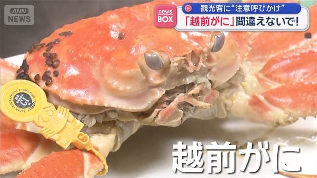 観光客に“注意呼びかけ” 「越前がに」間違えないで!