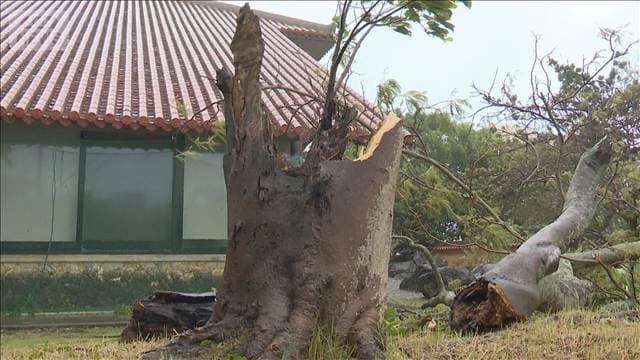 台風30号 九州に接近上陸の恐れ　関東など広範囲に警報級大雨か　沖縄402mm記録的大雨