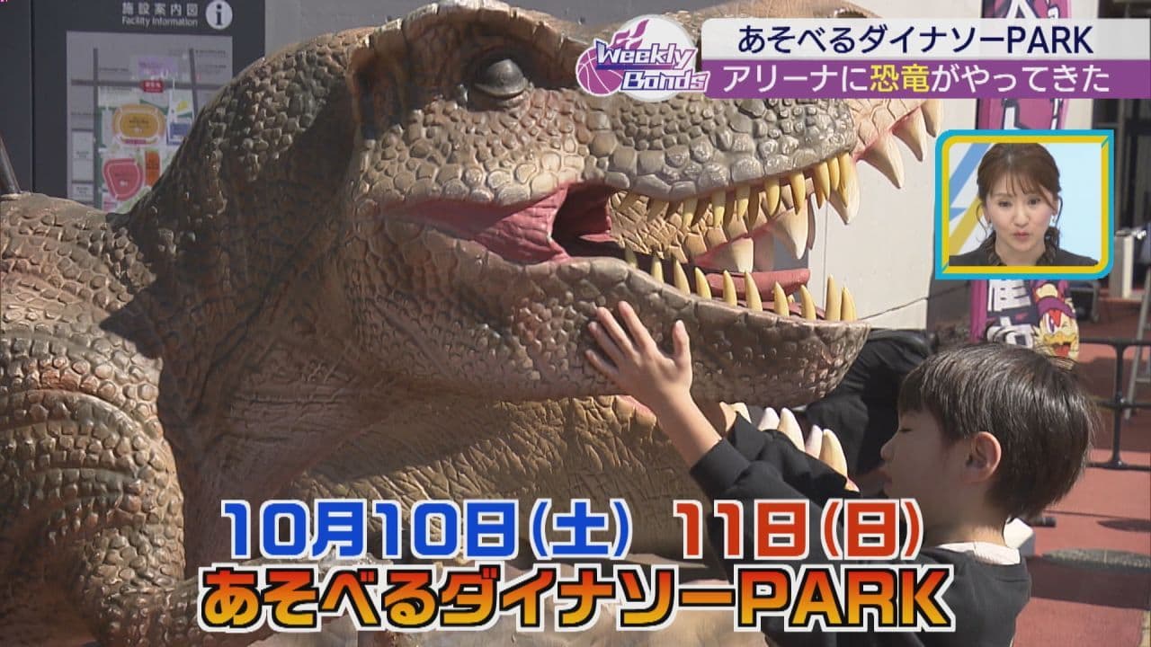 アリーナが恐竜時代に⁉　福島ファイヤーボンズが恐竜イベント開催