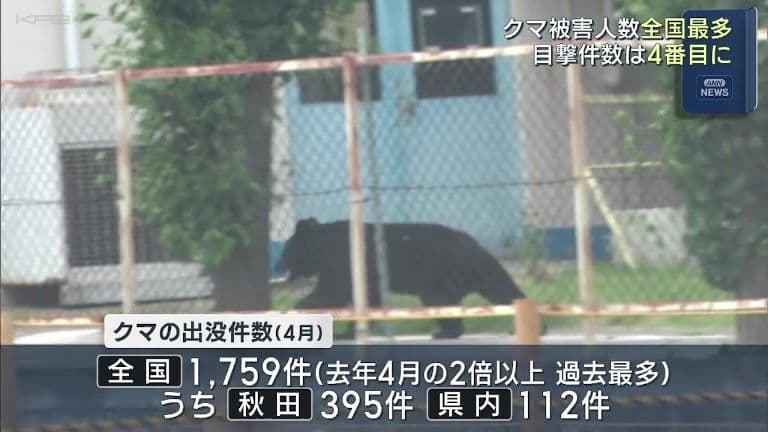 クマ被害　全国最多の県内　4人負傷—2026年4・5月の人的被害状況