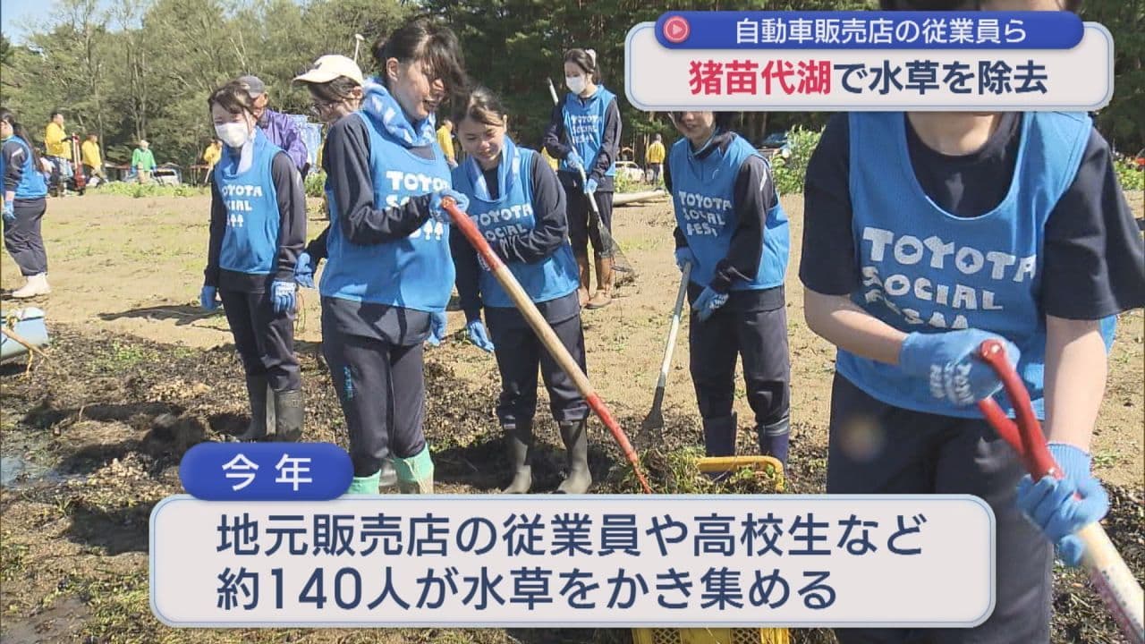 トヨタ自動車や環境保全のNPO　猪苗代湖の水質悪化を防ぐ水草を除去
