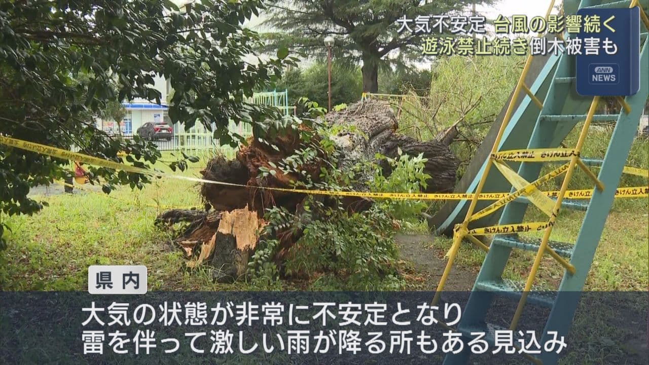 台風15号の影響続く いわき市で倒木・高波