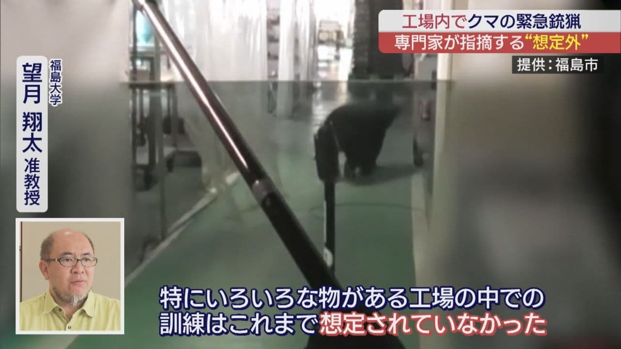 「緊急銃猟する前の対策が必要」　クマ専門家が考えるクマの緊急銃猟の課題