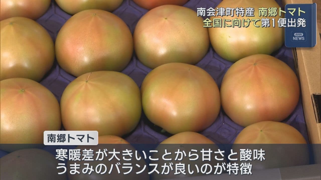 南会津町のブランド「南郷トマト」出発式　全国への配送スタート