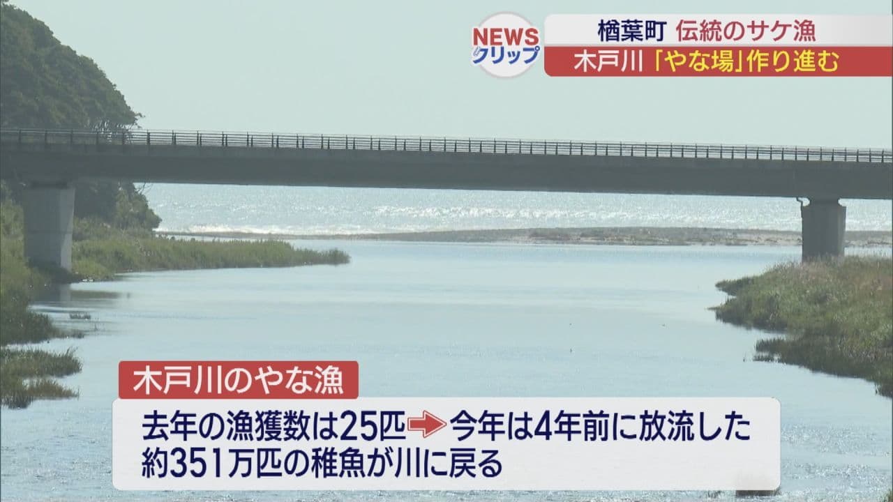 楢葉町でサケのやな場作り進む
