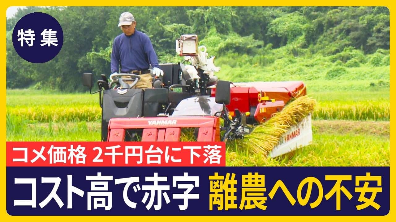 【特集】2千円台になったコメ　収穫も進まず苦しむ農家
